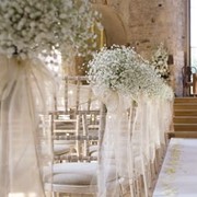 Fonte immagine: arcadeflowers.co.uk 