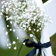 Fonte immagine: .stylemepretty.com