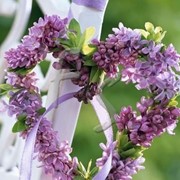 Fonte immagine: Pinterest