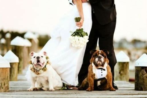 Fonte immagine: societybride.com 