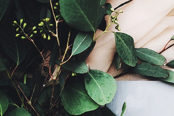 Photo by Jazmin Quaynor on Unsplash